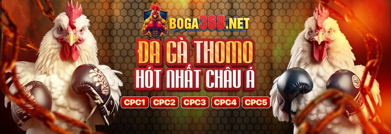 Đá gà trực tuyến sôi động tại b66 nổ hũ